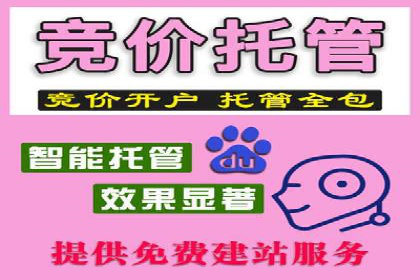 百度竞价托管：案例中的优化策略